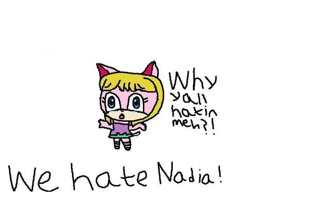 File:We hate nadiathehedgehog99.jpg
