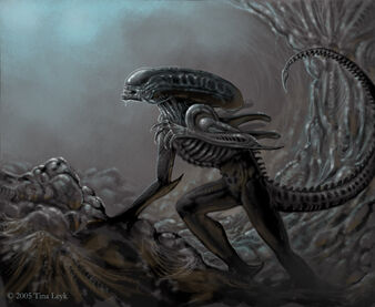 Xeno Hive