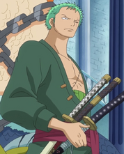 Zoro3