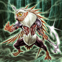 Owl intim