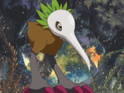Kiwi Kiwi Sentry