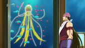Acacia mira a una medusa gourmet.png