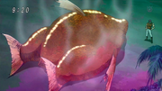 TurkeyFishCooked