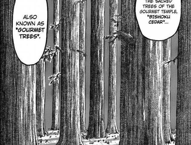 Plik:Cedr Bishoku (manga).jpg