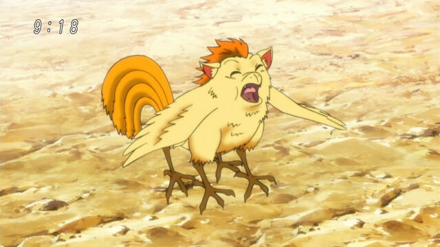 File:Young Meeko.jpg