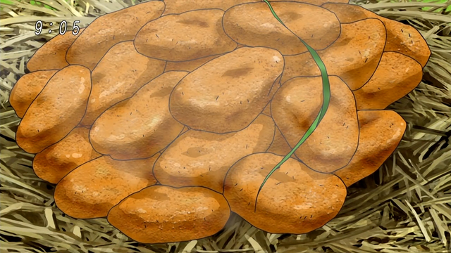 Plik:Chickringtossety zmienione w nuggetsy.png