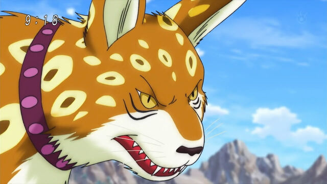 File:Rikky face closeup.jpg