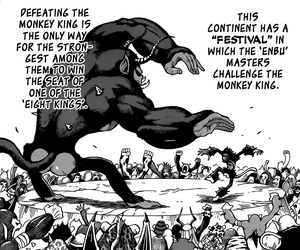 Monkey Festival