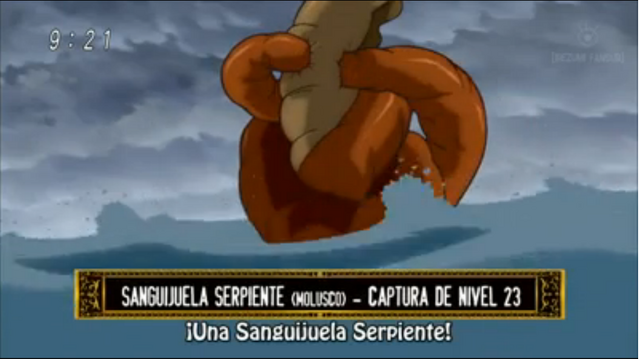 Archivo:Anguila.png