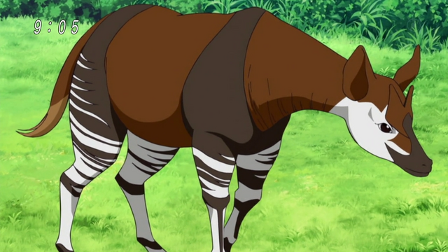 Plik:Kakaokapi.png