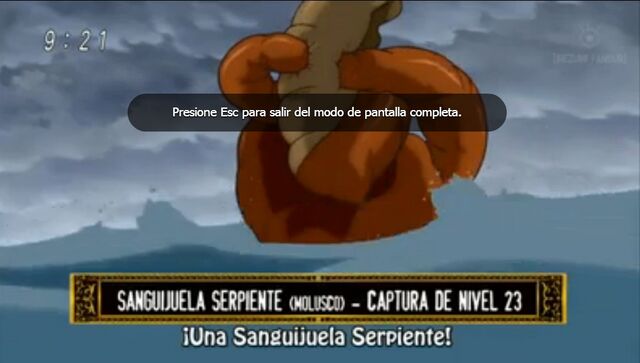 Archivo:Ser.jpg