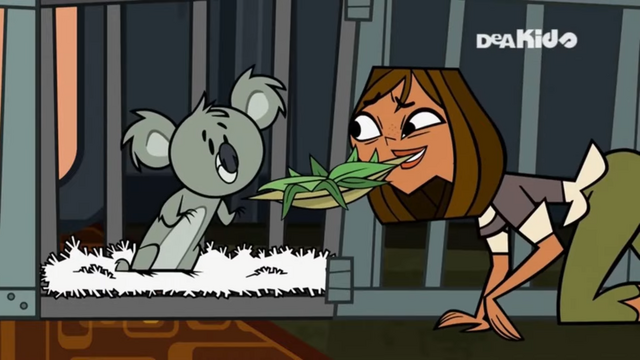 File:CourtneyFeedsKoala.png