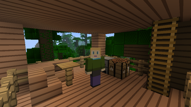 File:Dawn Treehouse MC.png