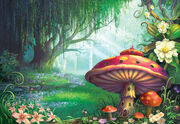 Magic Land