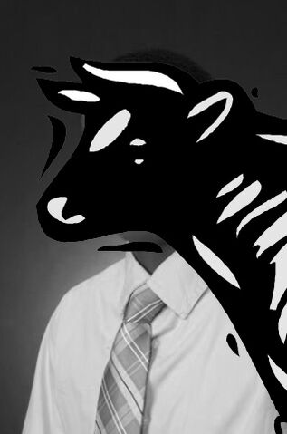 File:MOO.jpg