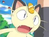 Meowth picture 212