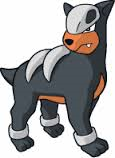 Houndour