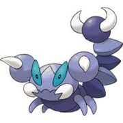 Skorupi