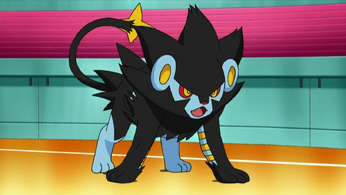 Volkner Luxray