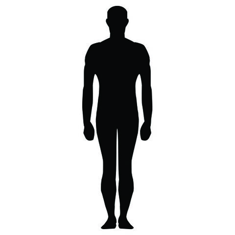 File:HUMAN.jpg