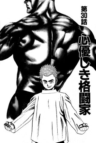 File:Chapter 30 cover.jpg