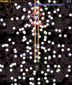 Thumbnail for version as of 14:52, October 23, 2010