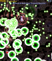 Thumbnail for version as of 14:52, October 23, 2010