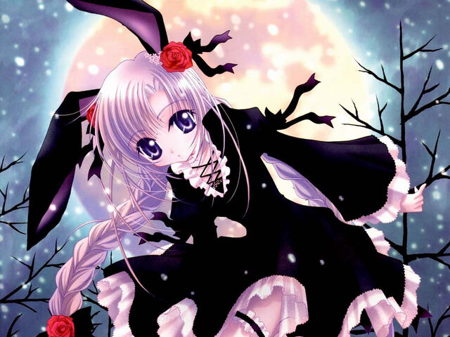 File:Usagirabbitbunny.jpg