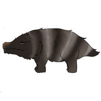 Striped Ground Pig