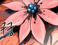 ZygaenaFlower