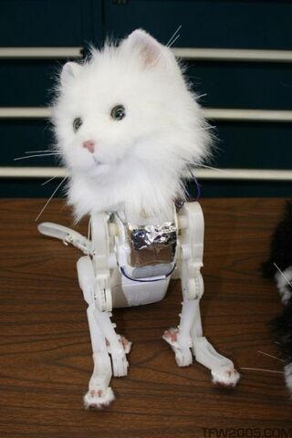 File:Hasbrotour-fleshlesskitty.jpg