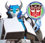 Prime-TailgateCardArt.jpg