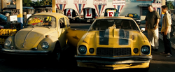 Bumblebee bij Boby Bolivia.png
