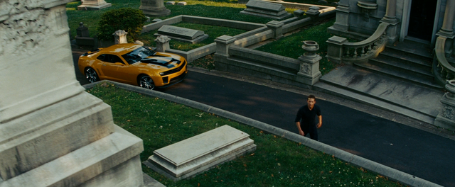 Bestand:Bumblebee op het kerkhof.png