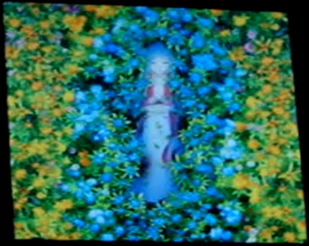 File:Ascplepias-Rosalia.png