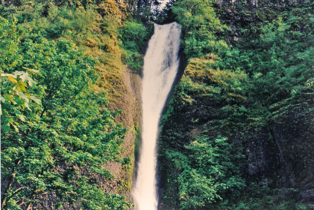 File:Western Washington.jpg