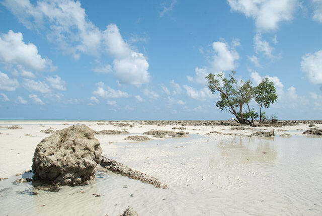 File:Dsc6702.jpeg