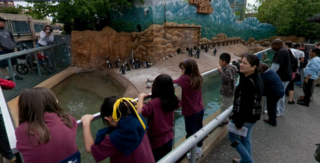File:PENGUIN ISLAND.png