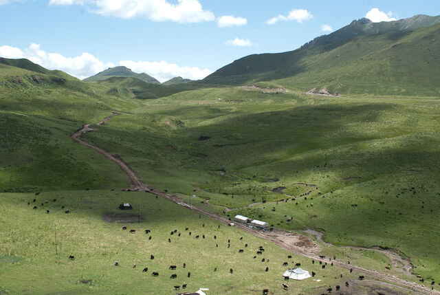 File:Dsc8606.jpeg