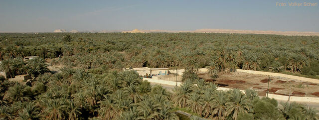 File:800px-Oase Siwa.jpg