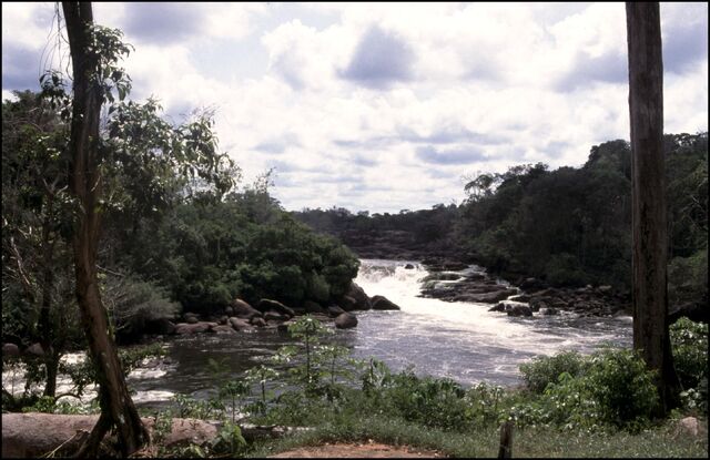 File:River landscape in Suriname.jpg