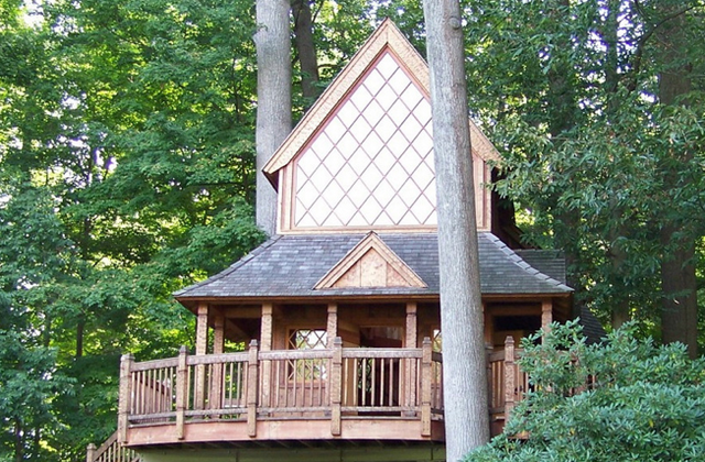 File:DoYouWantATreehouse.png