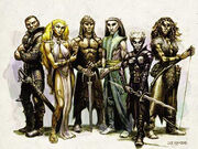 Different subraces of Elves