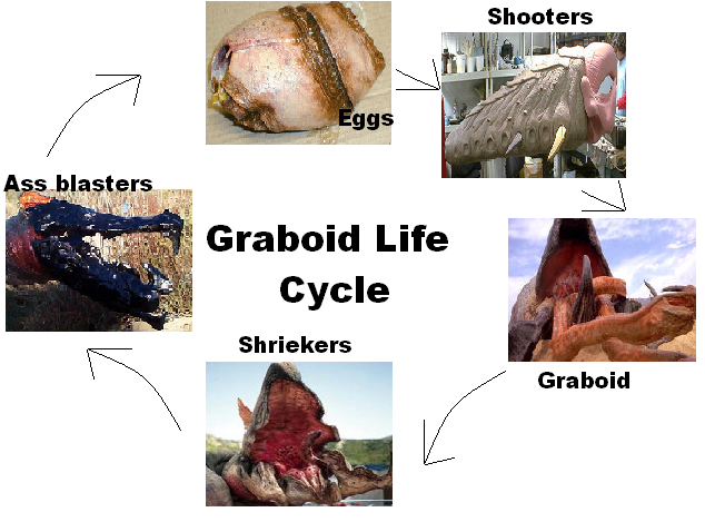 File:Graboid Life Cycle.png