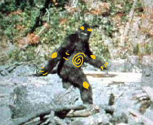 Tentaquilsighting