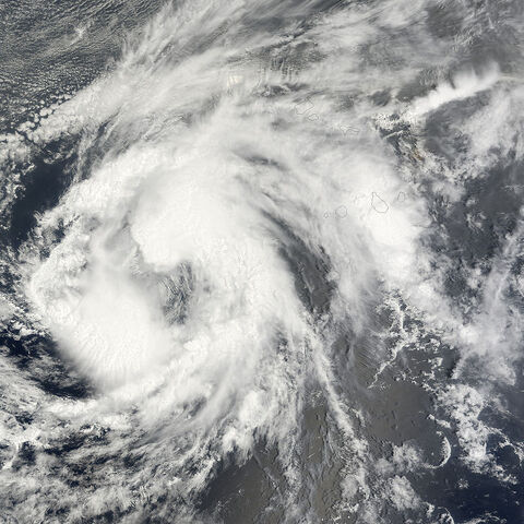 File:800px-Josephine 3 September 2008.jpg