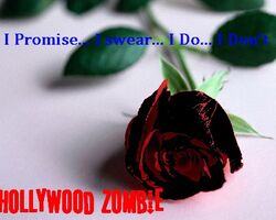Rose-1