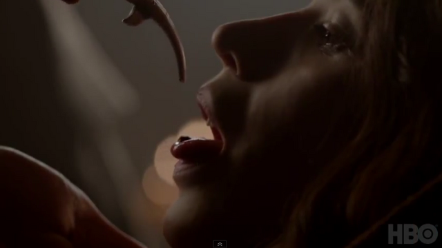 File:SalomeAVLOrientationSeason5.png