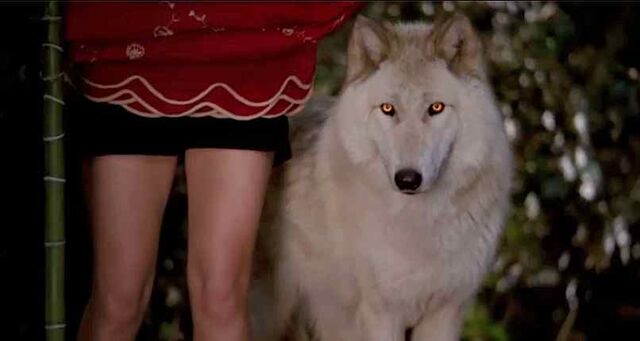 File:Alcide-wolf.jpg