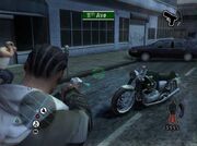 Harley TCNYC
